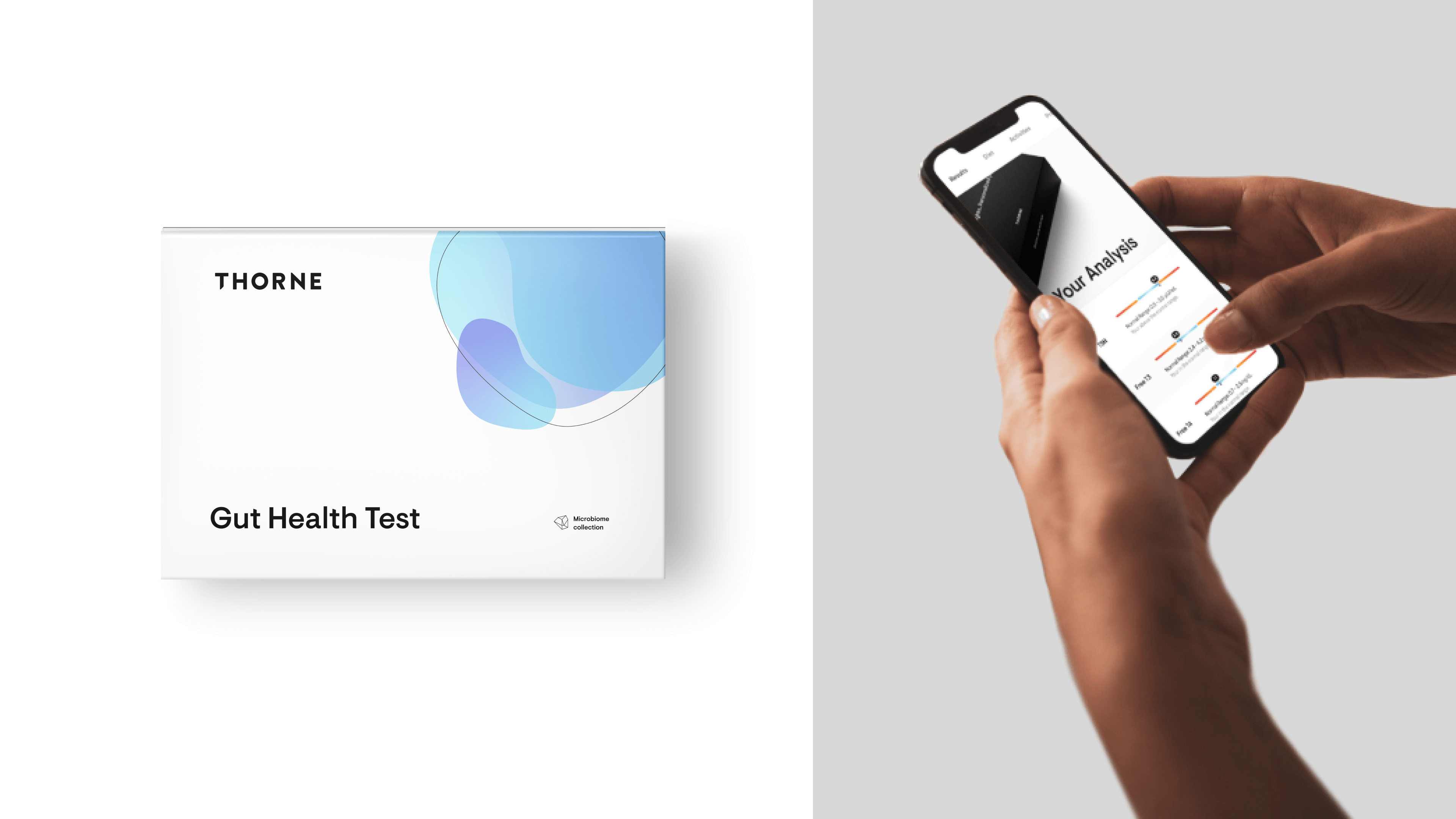 Thorne Gut Review Header 2025