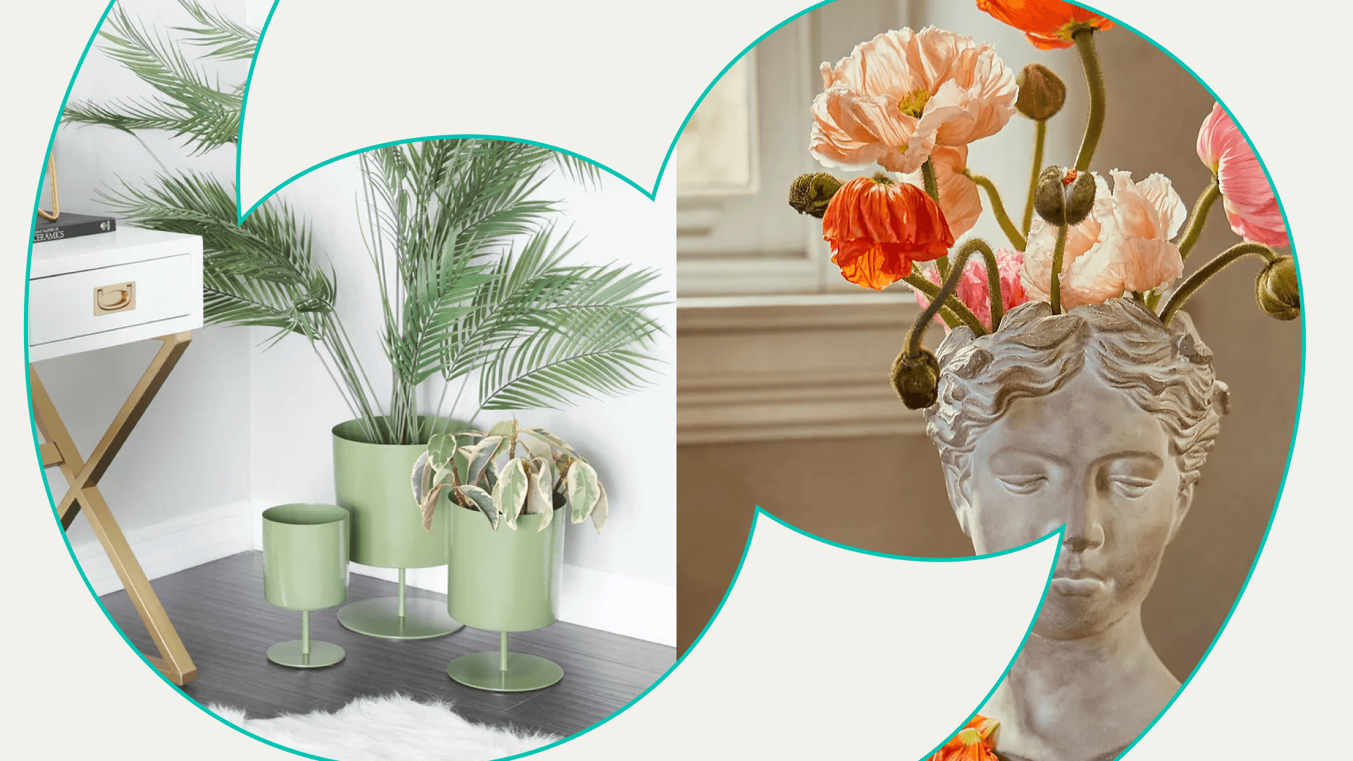 Plant Aesthetic 