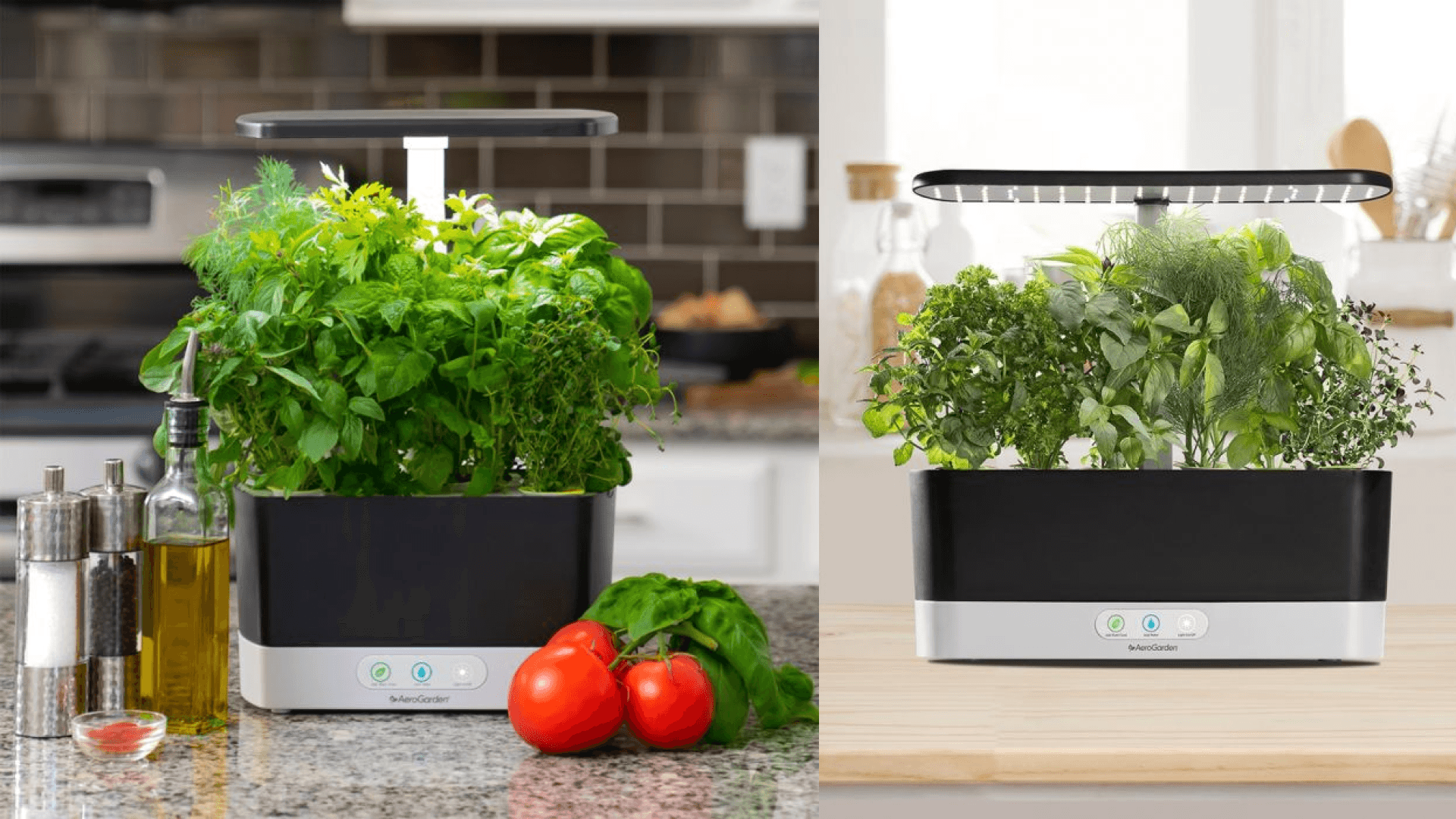 aerogarden