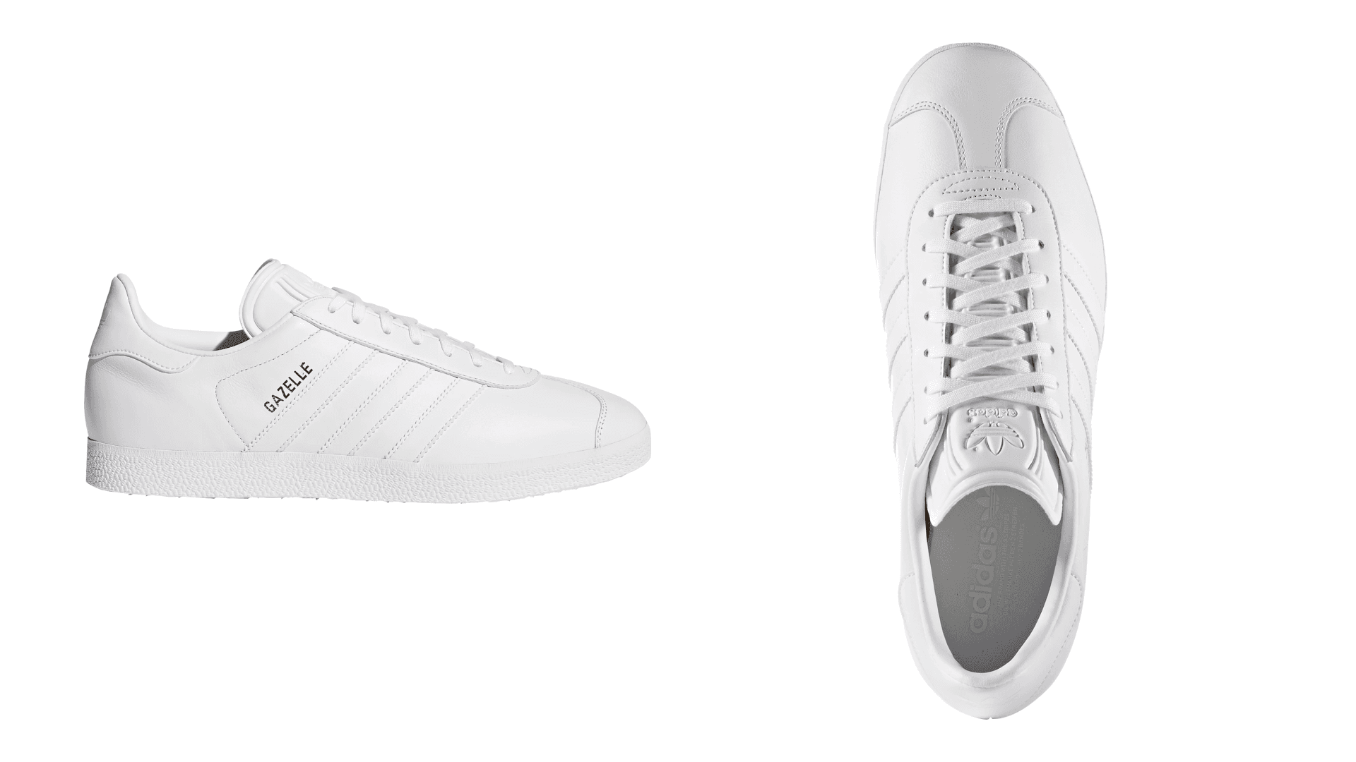 gazelles