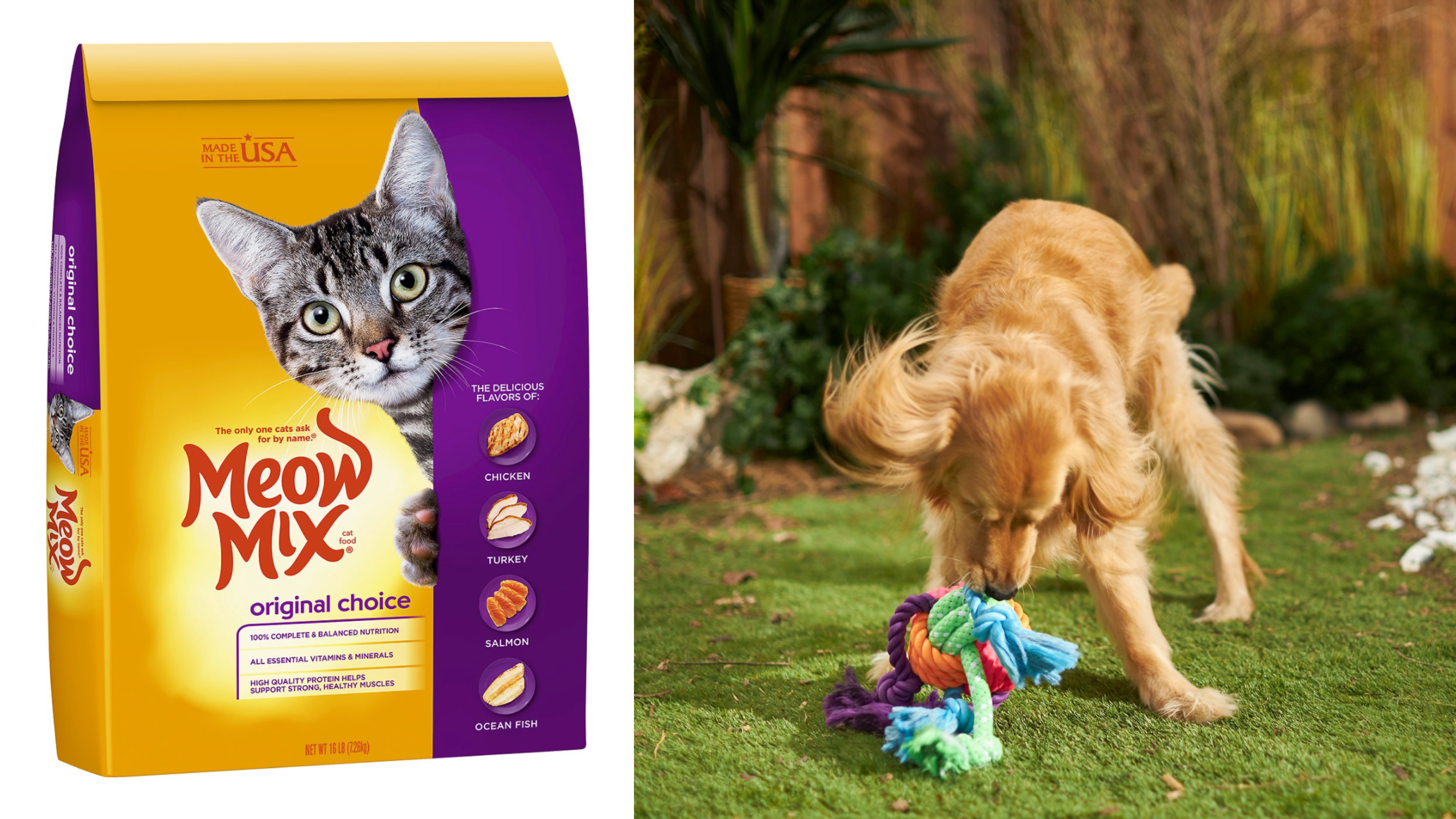 chewy pet black friday sales
