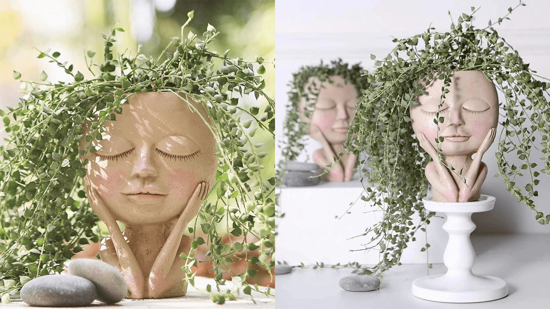 Planter 