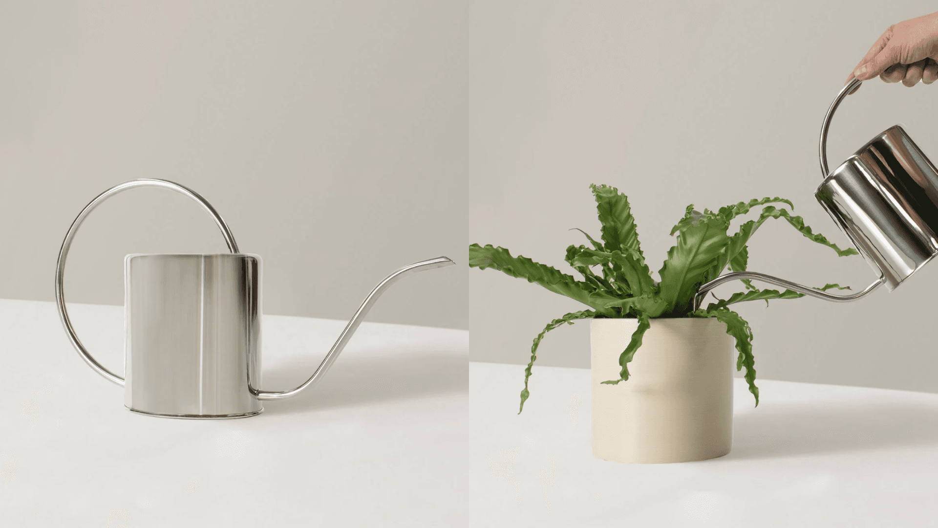 Watering Can 