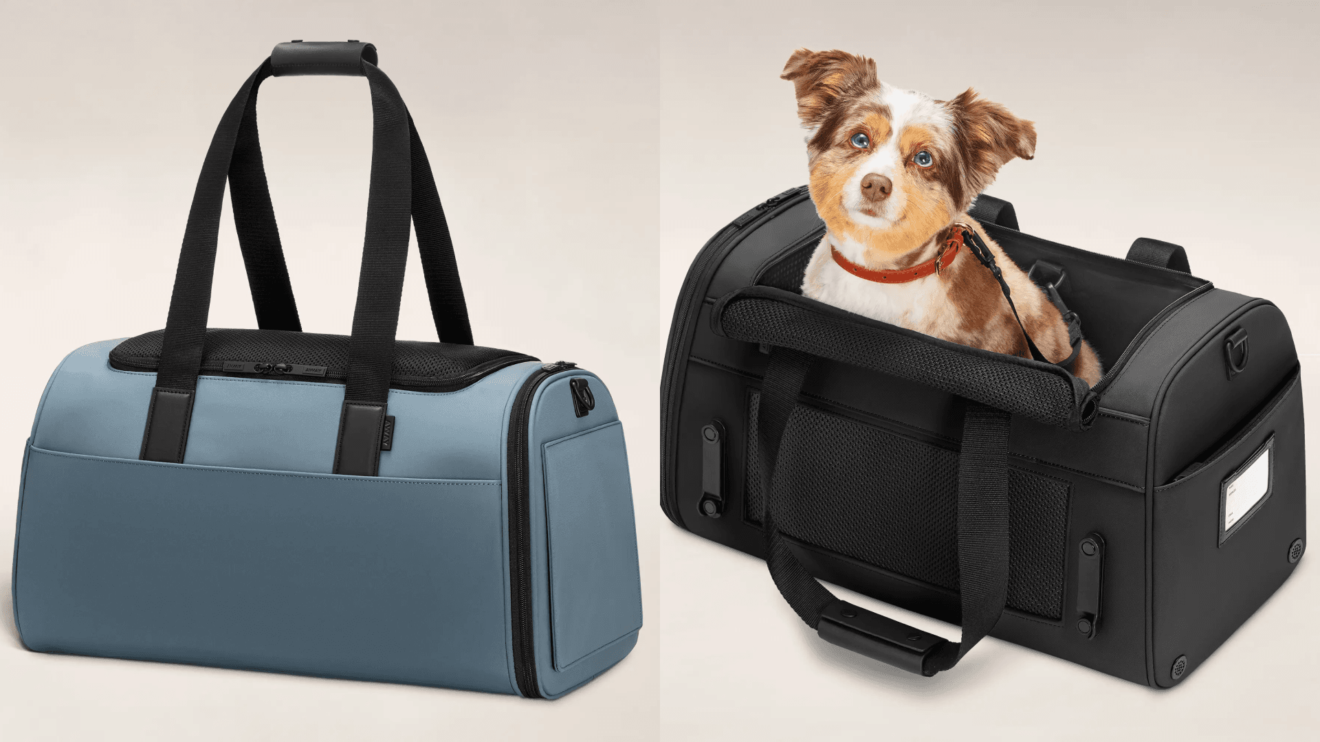 Pet carrier