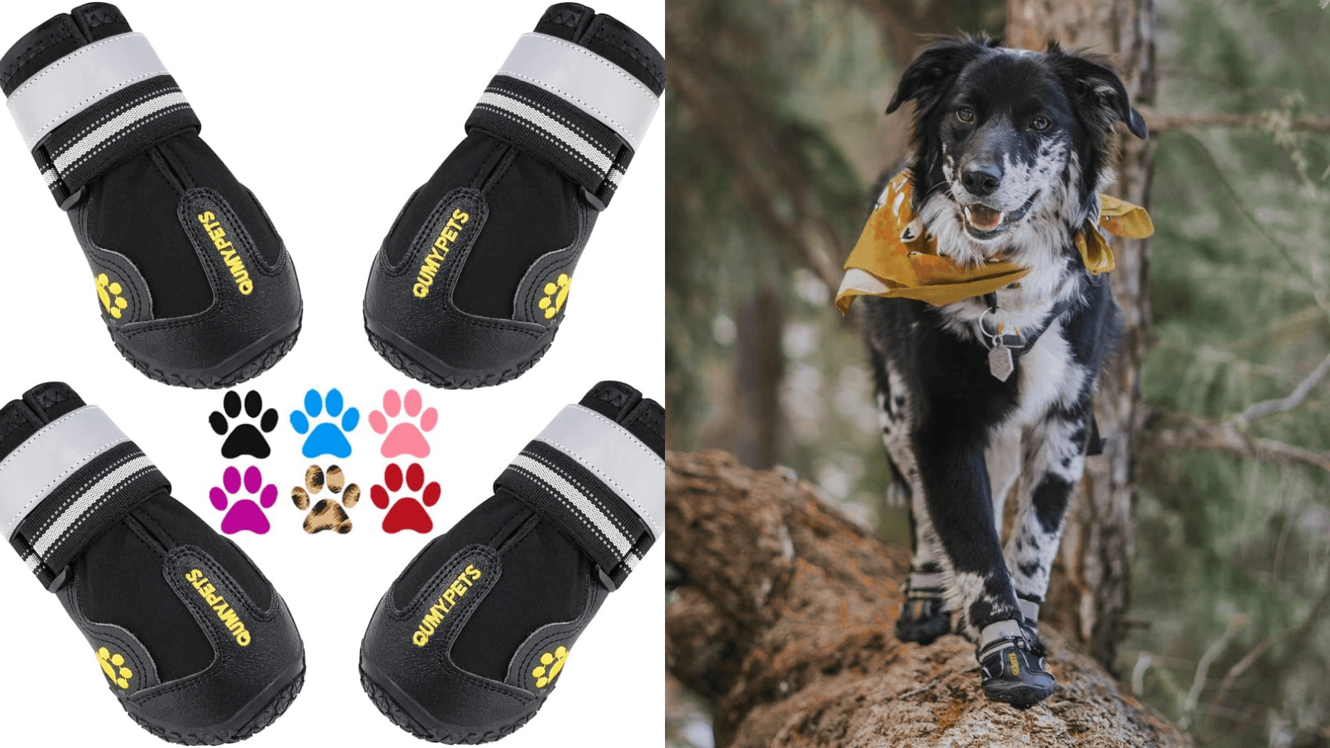 Dog shoes for summer 