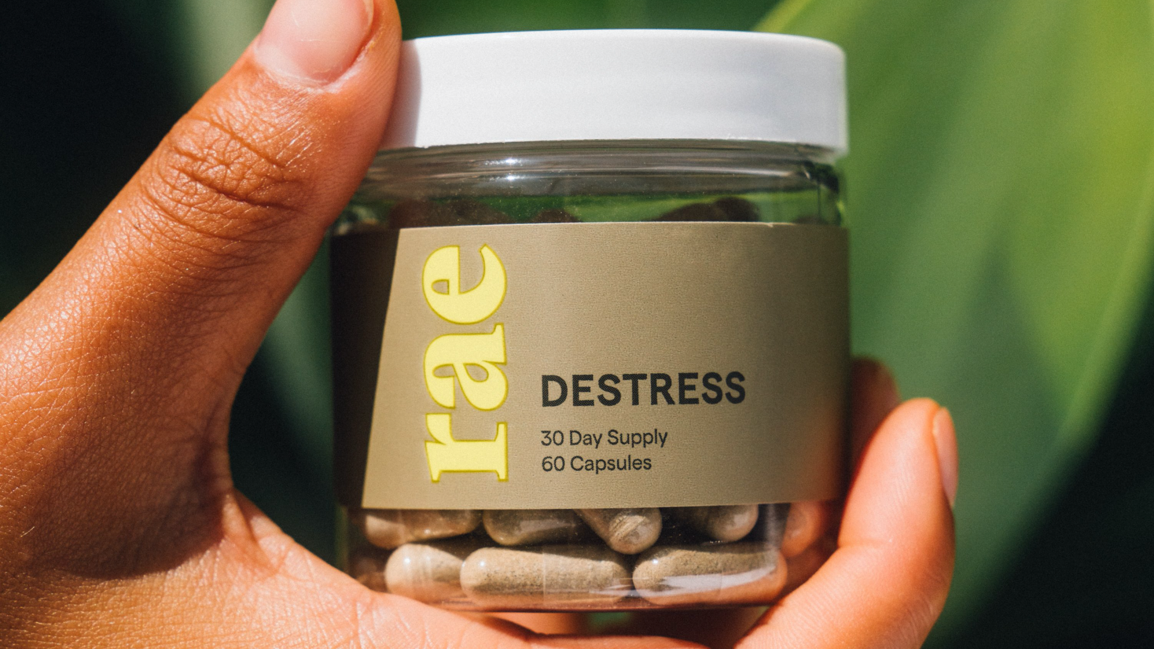 wellness supplement