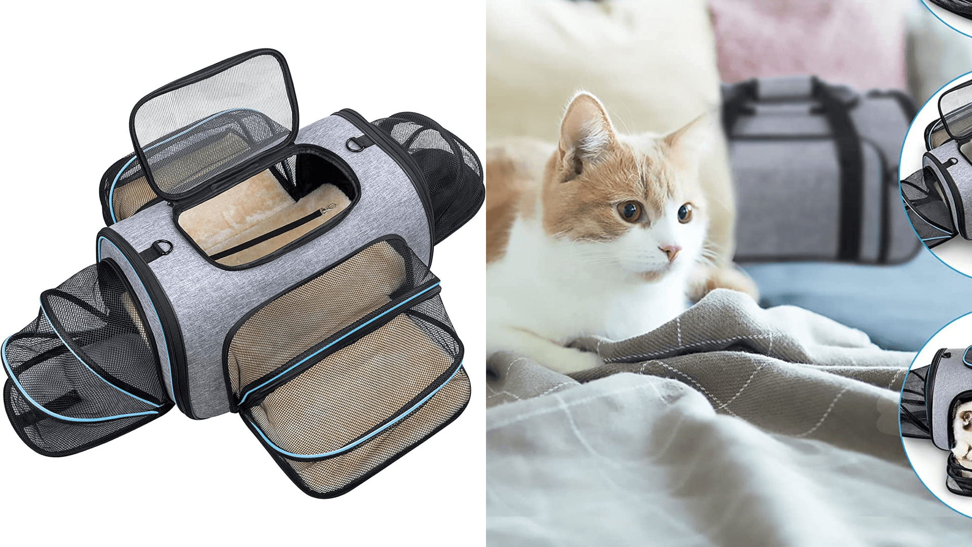 pet carrier