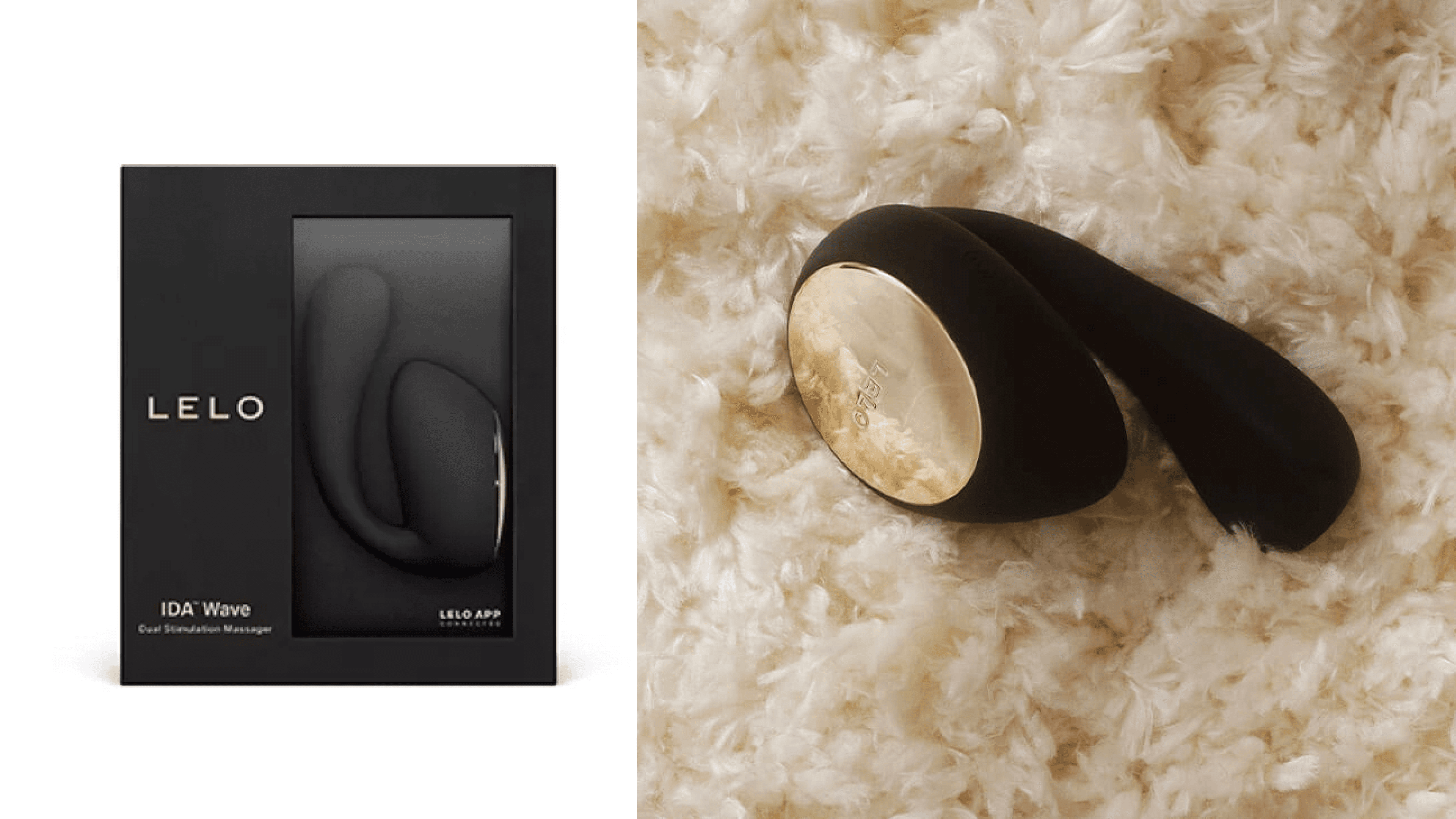 Lelo Ida Wave Review Header 2025 