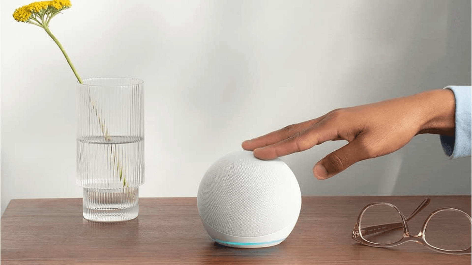 echo dot device