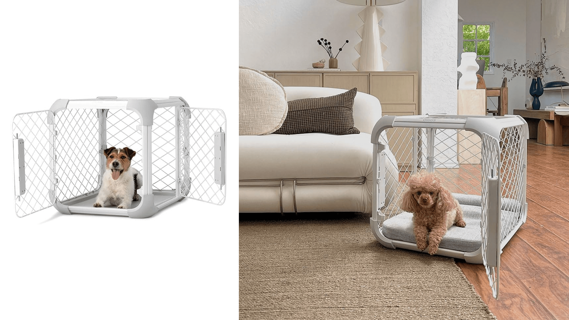 dog-crate