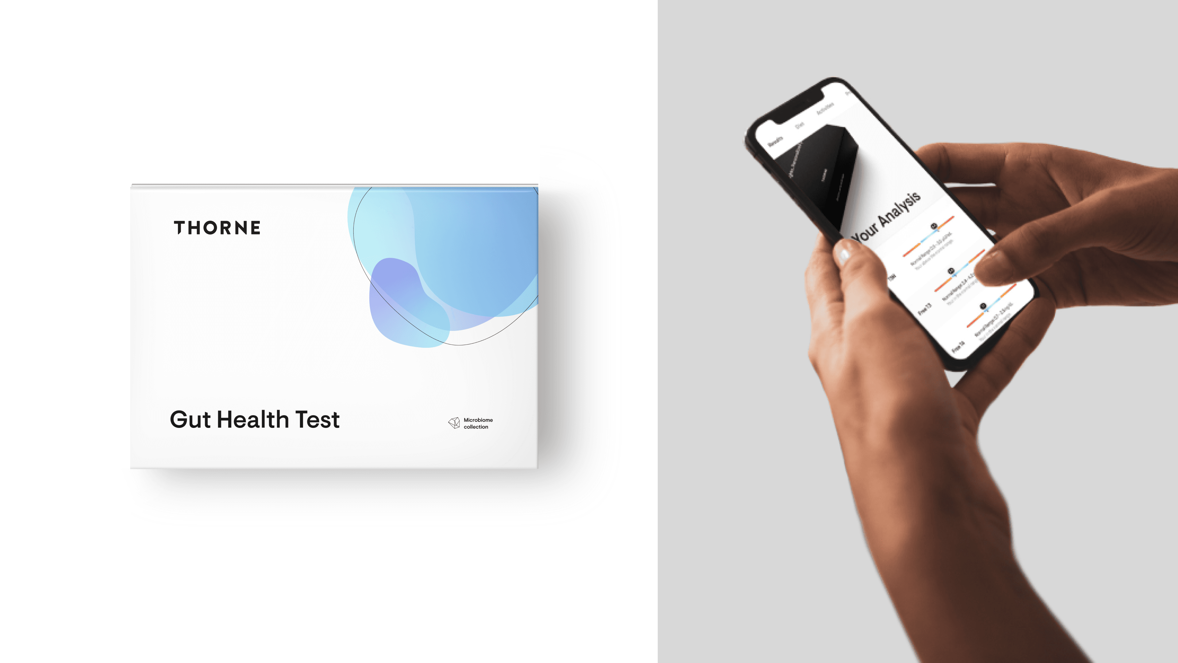 Thorne Gut Review Header 2025
