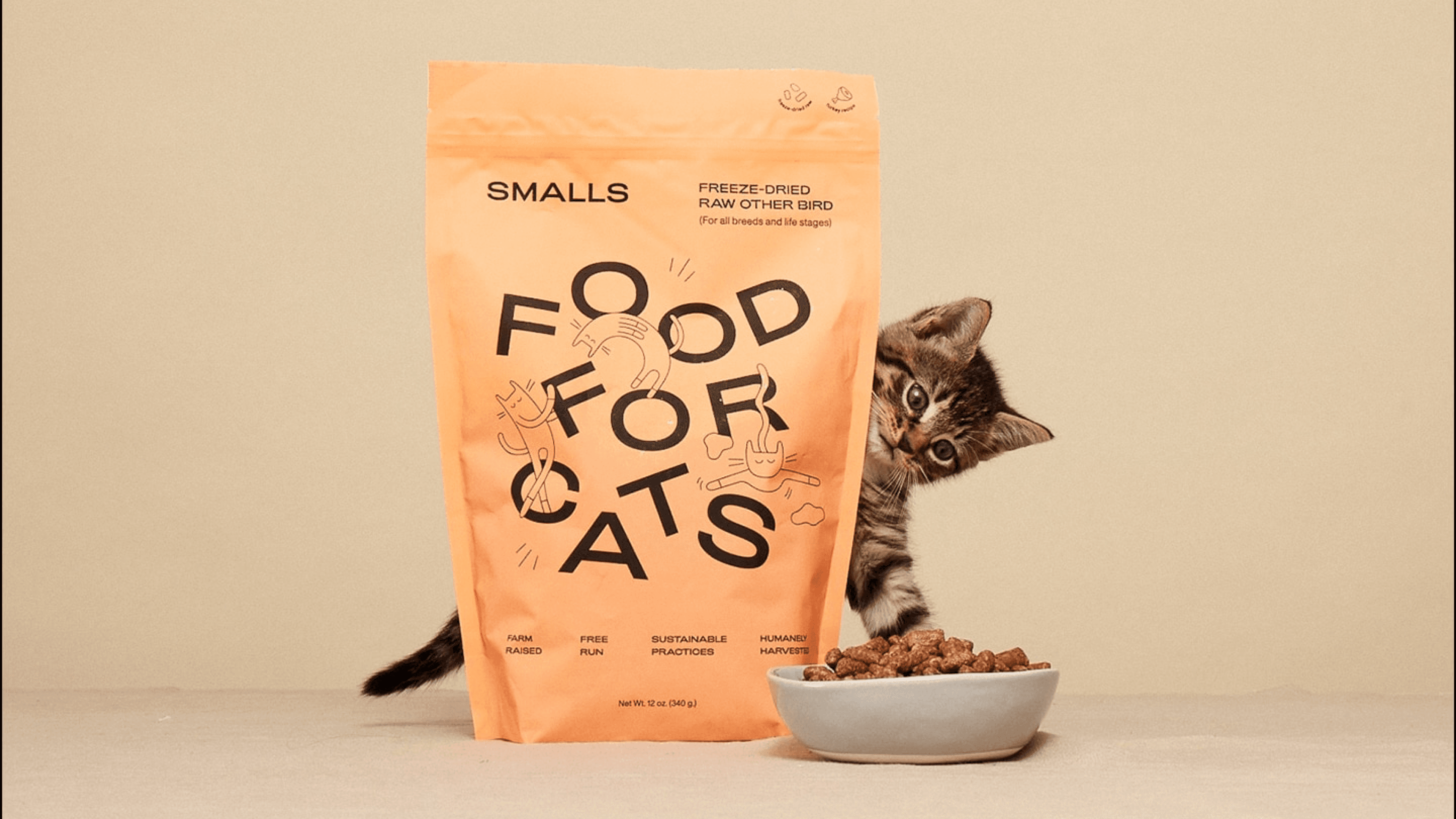 cat meal plan