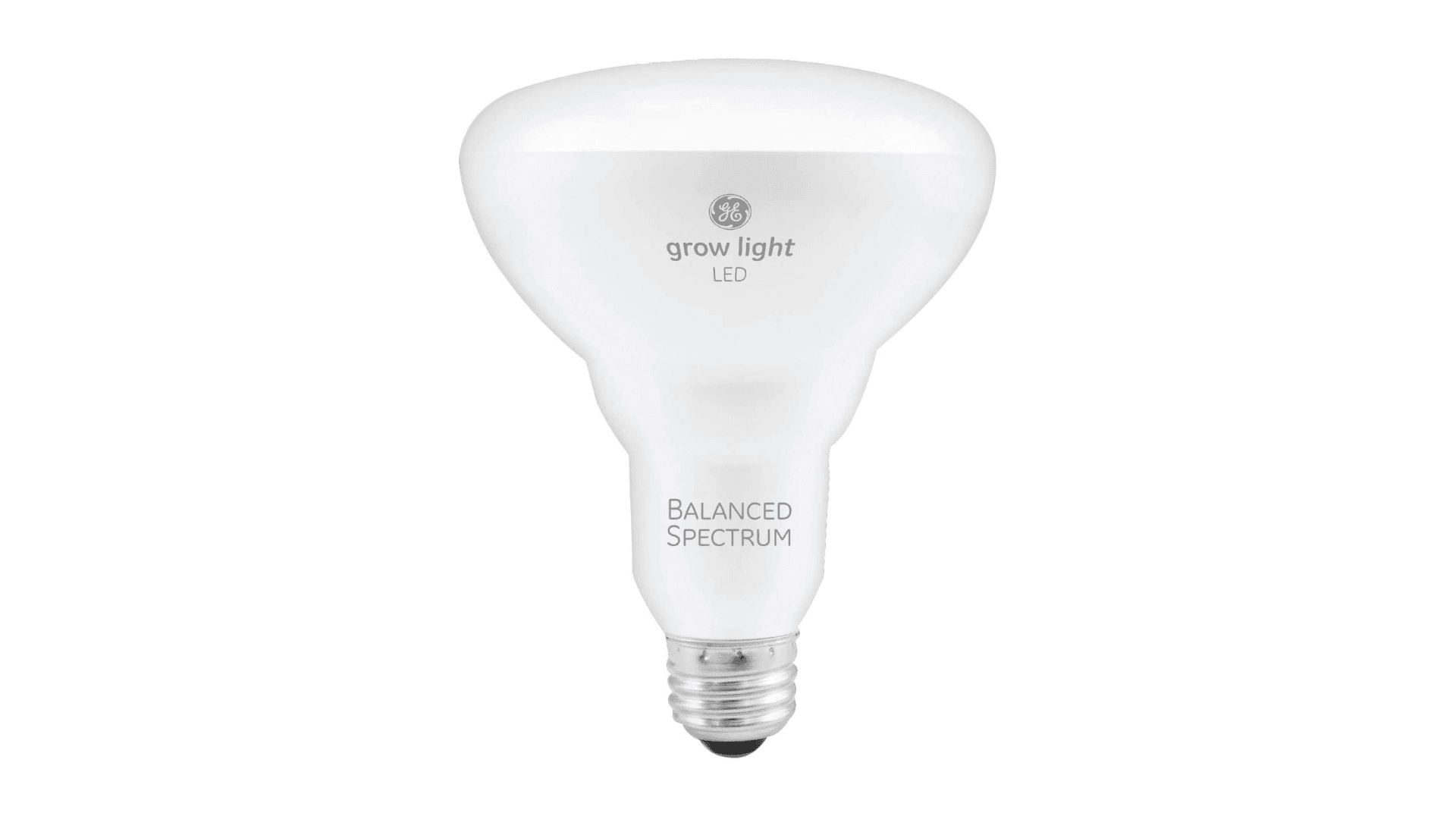 LED light bulbs