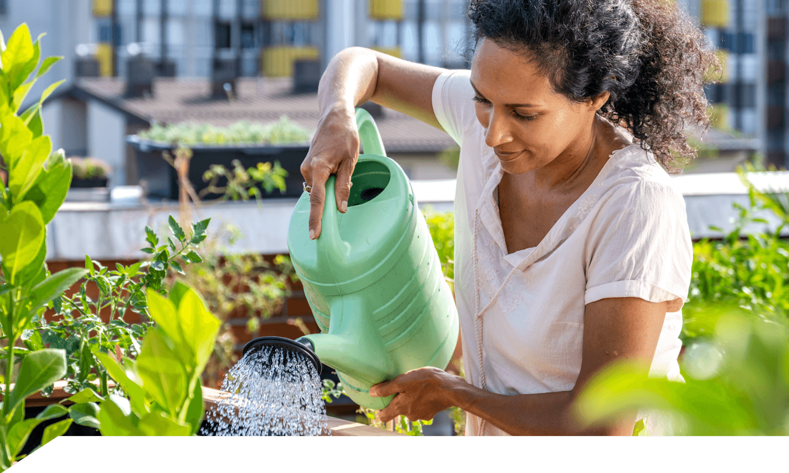 woman watering rooftop garden