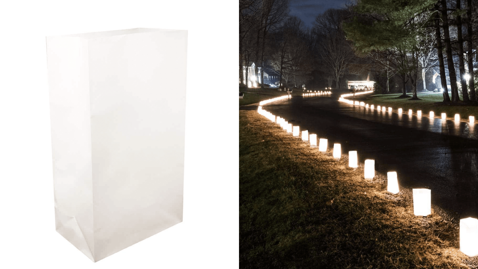 Home Depot luminary bags