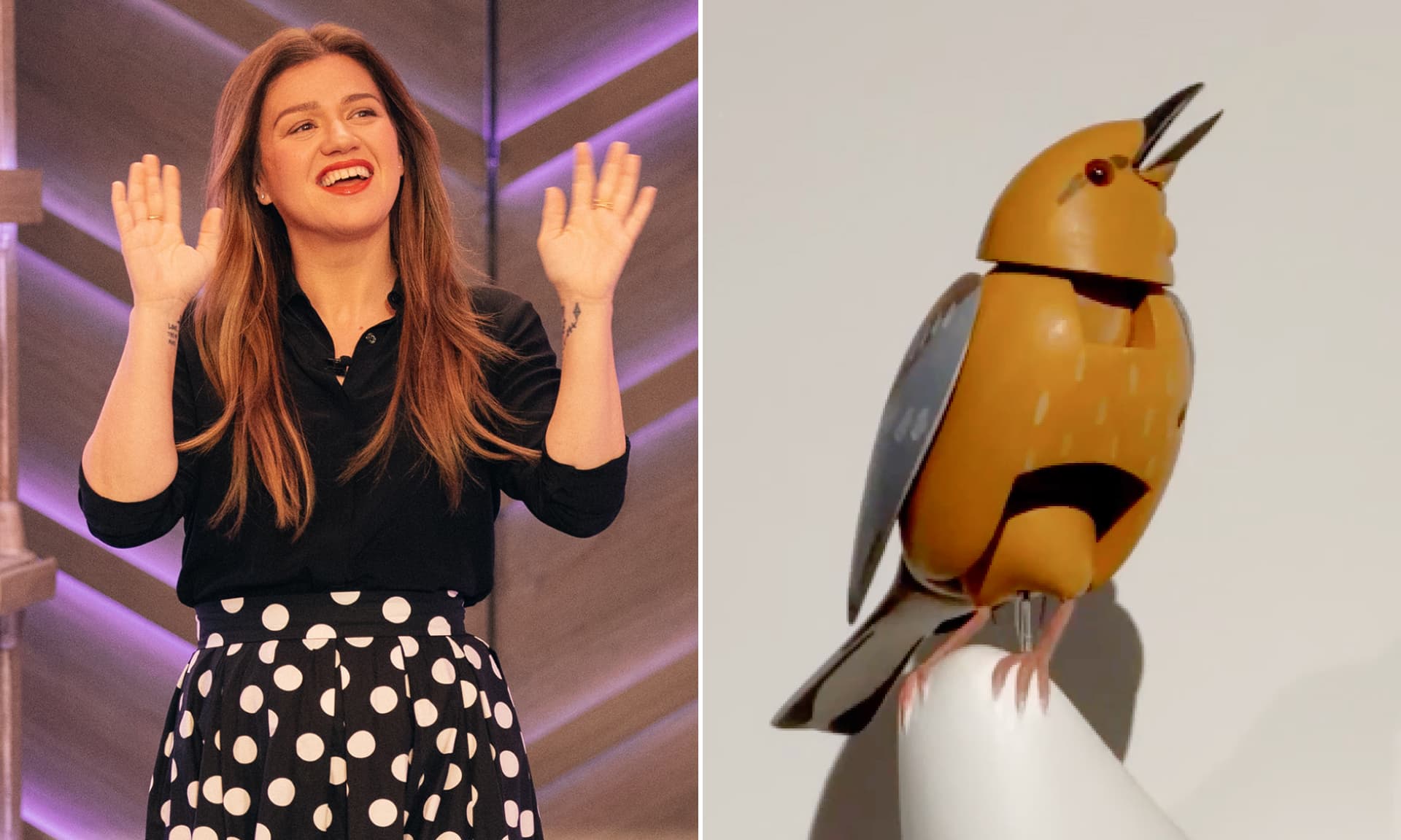 Kelly Clarkson and the bird