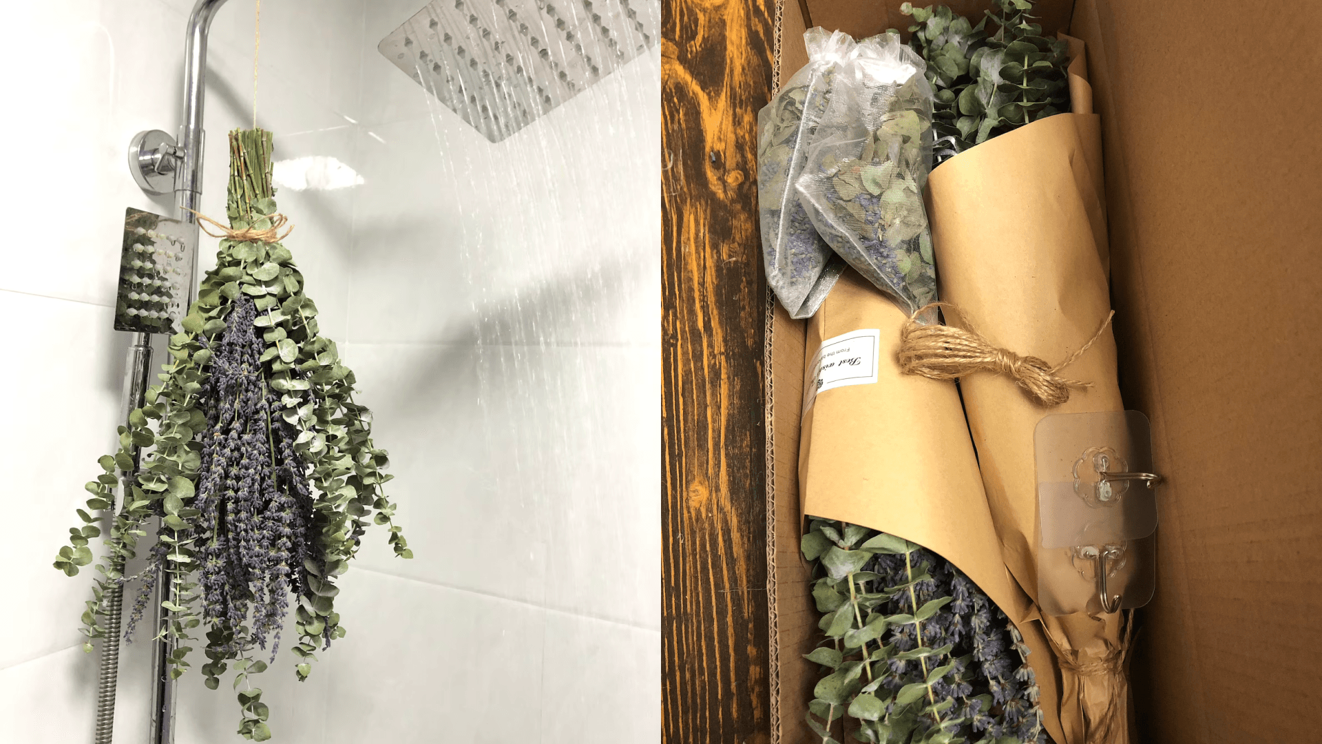Eucalyptus in shower