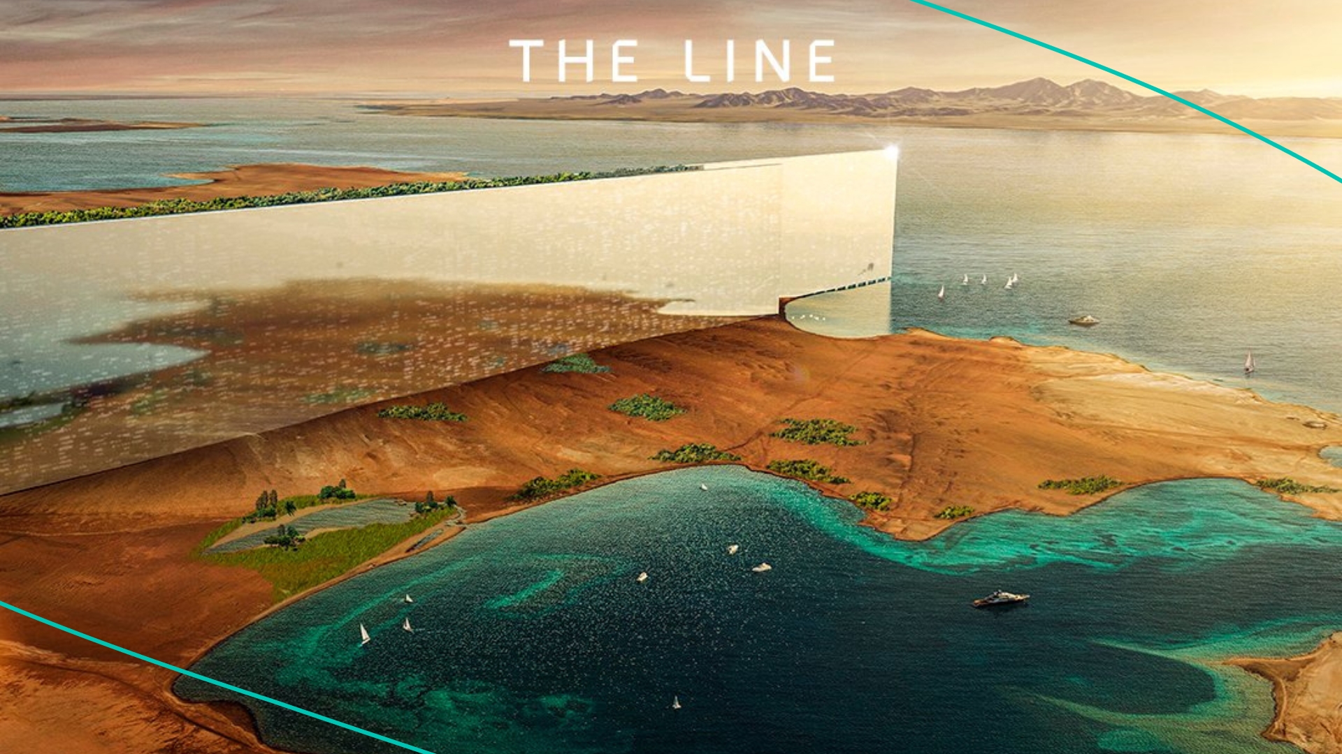 The Line image