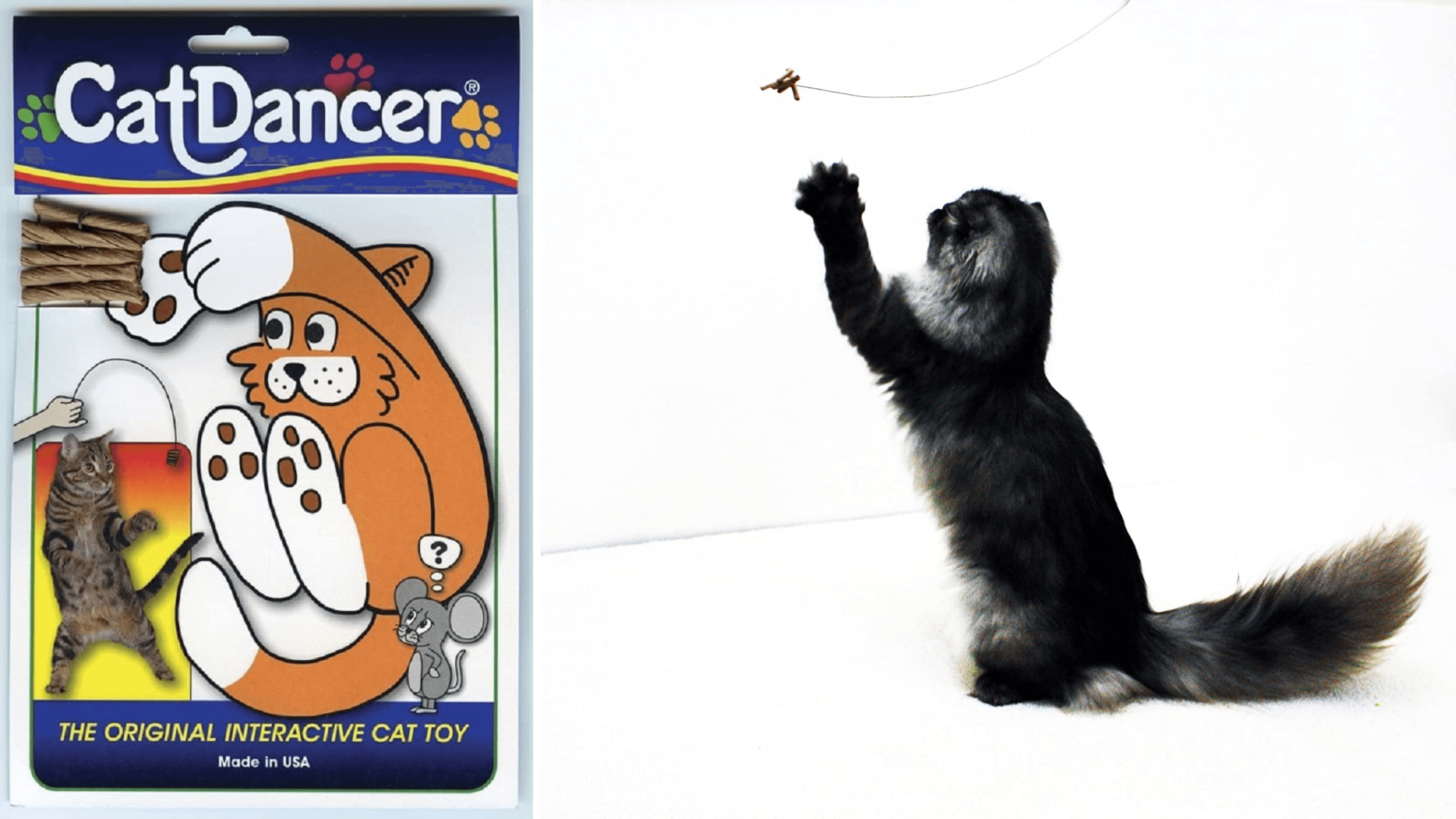 Cat Dancer toy and Black cat reaching for her toy attached to a string