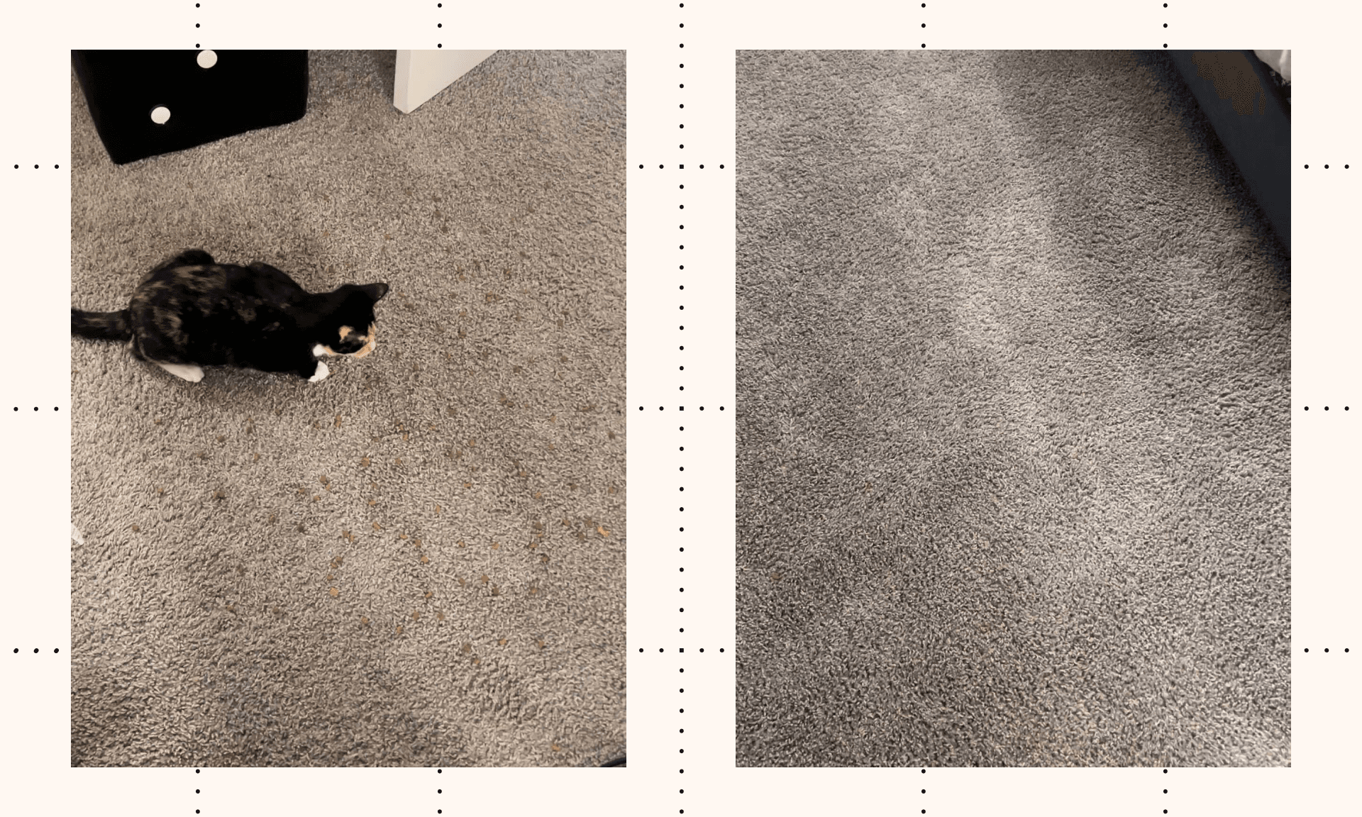 Test Results: Bissell