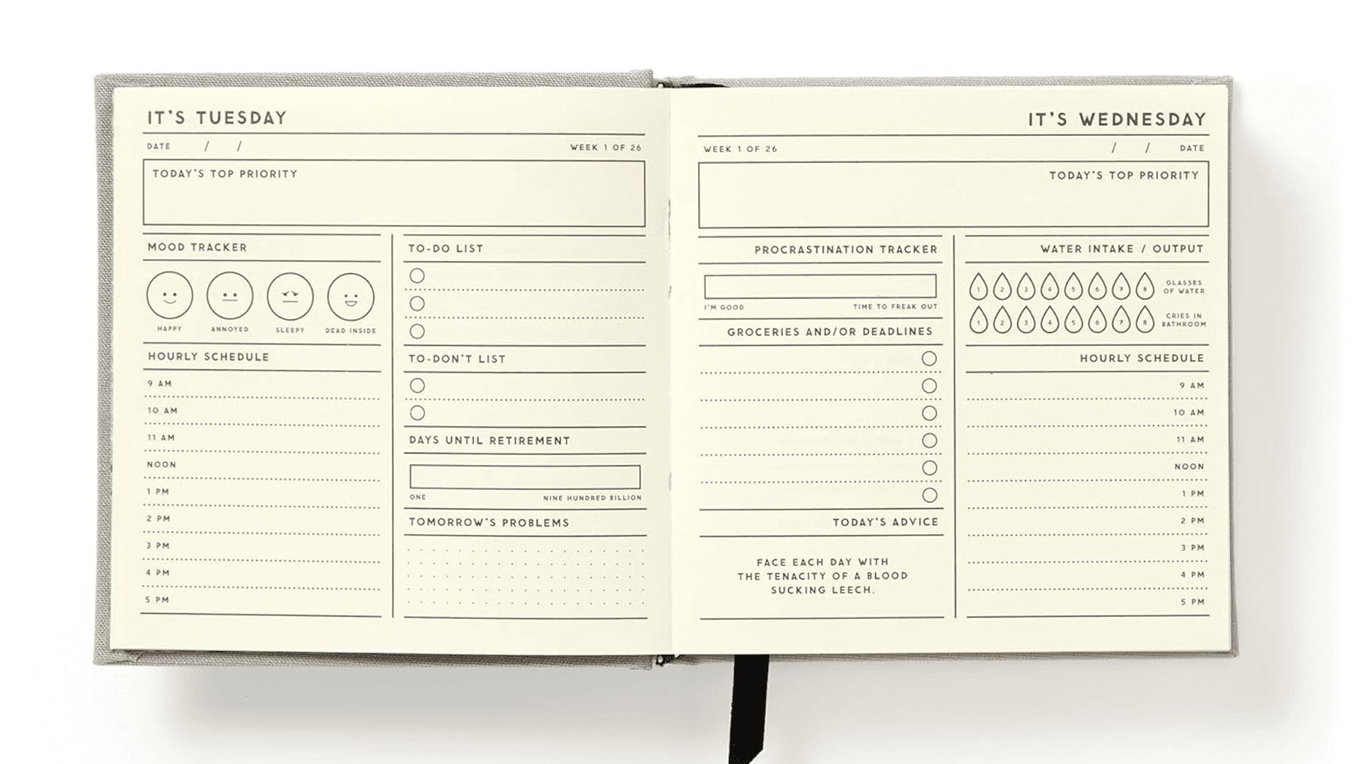 Brass Monkey My Master Plan – Productivity Journal Includes Snarky And Endearing Graphs And Charts To Evaluate Progress And Succeed In Life
