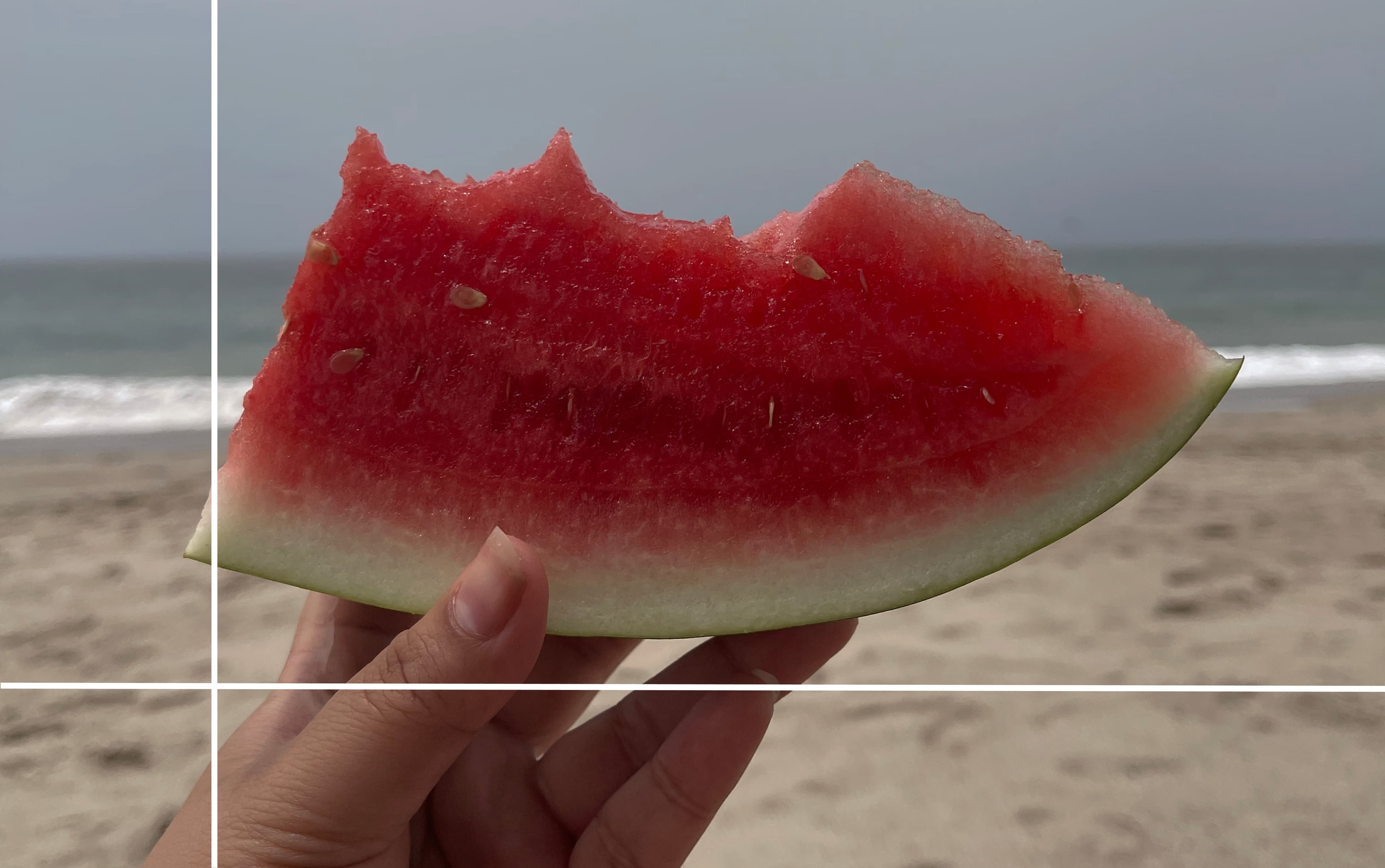 watermelon