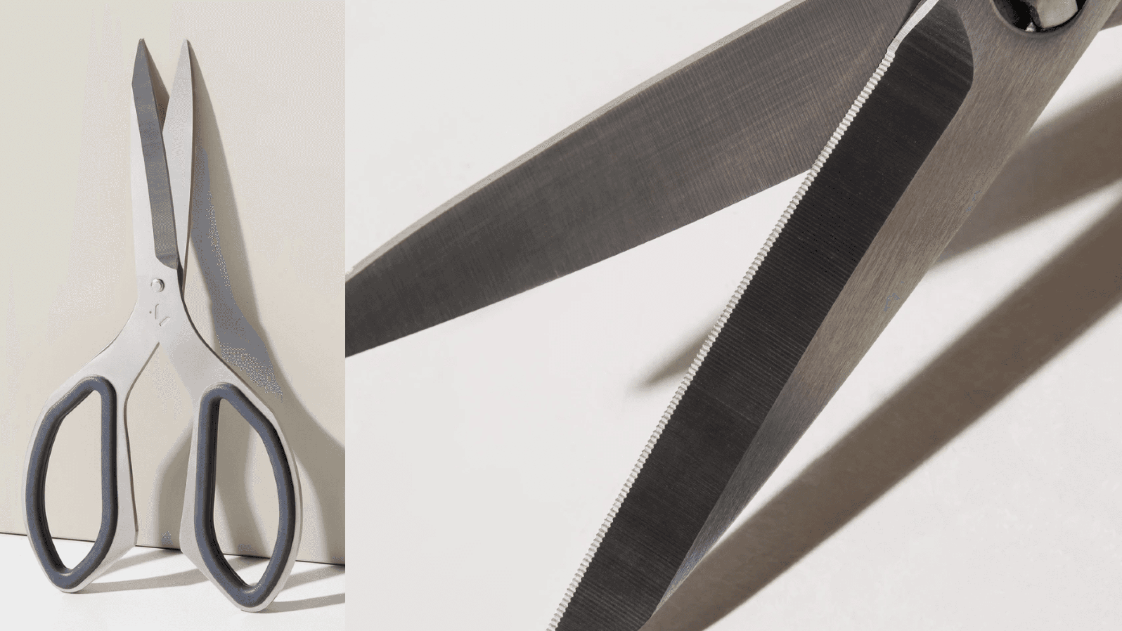kitchen shears