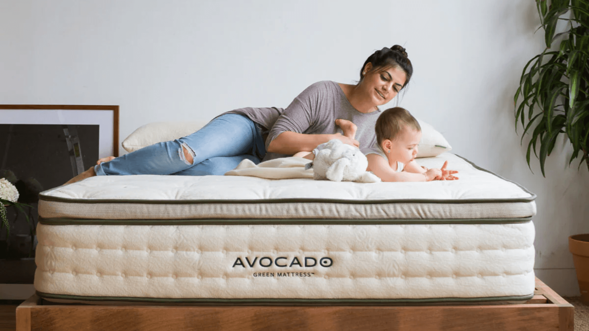 avocado