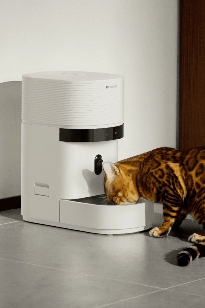 pet feeder