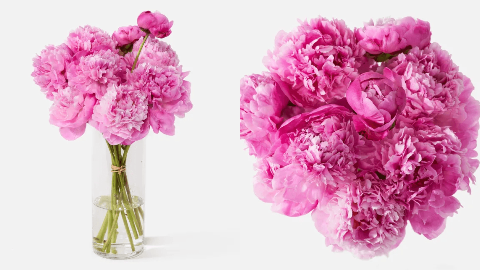 unique flowers