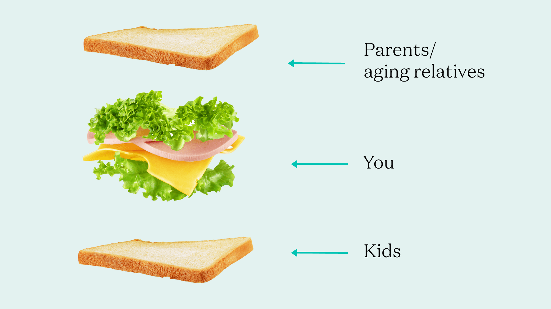 sandwich generation