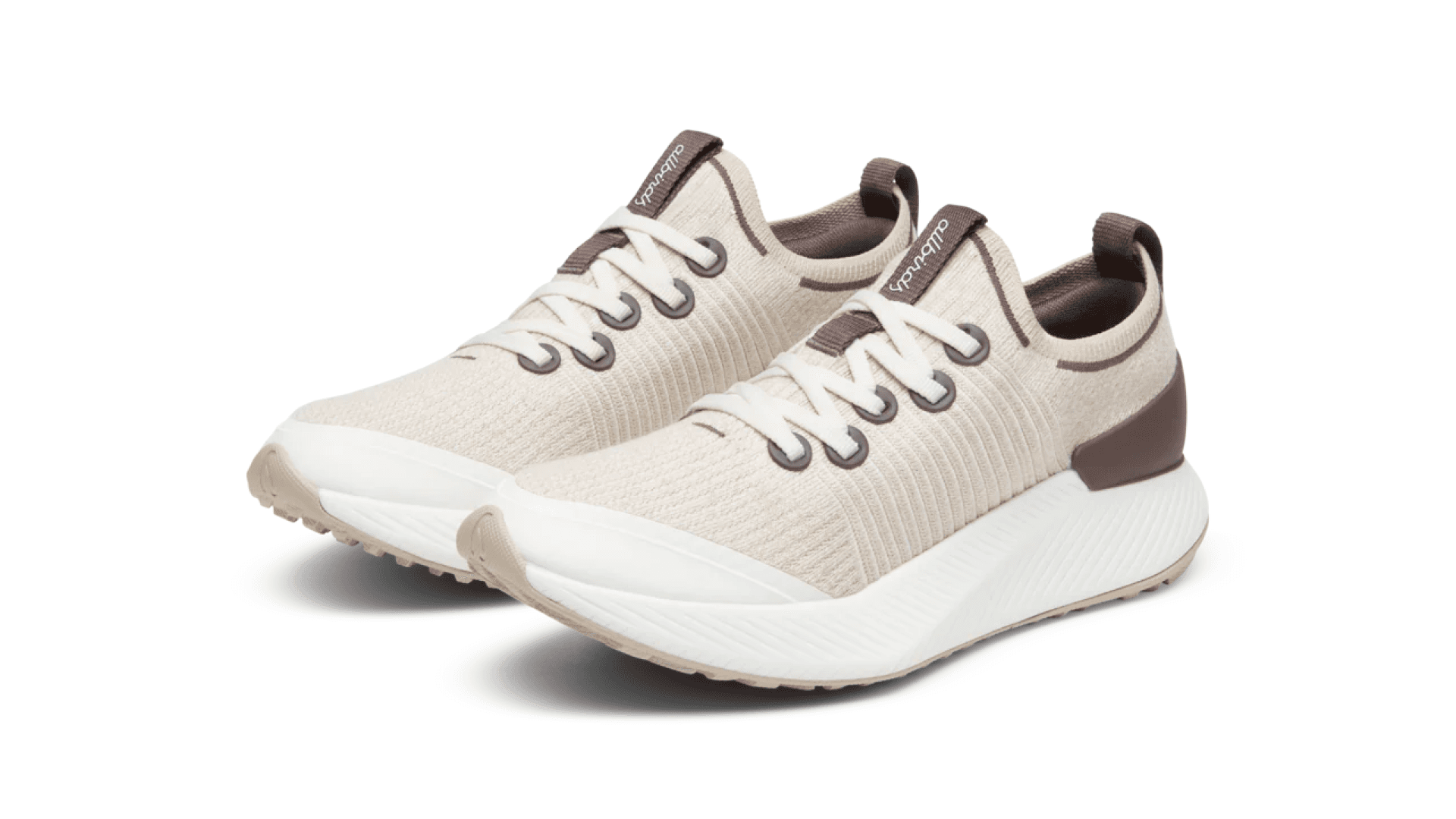 Allbirds Tree Gliders