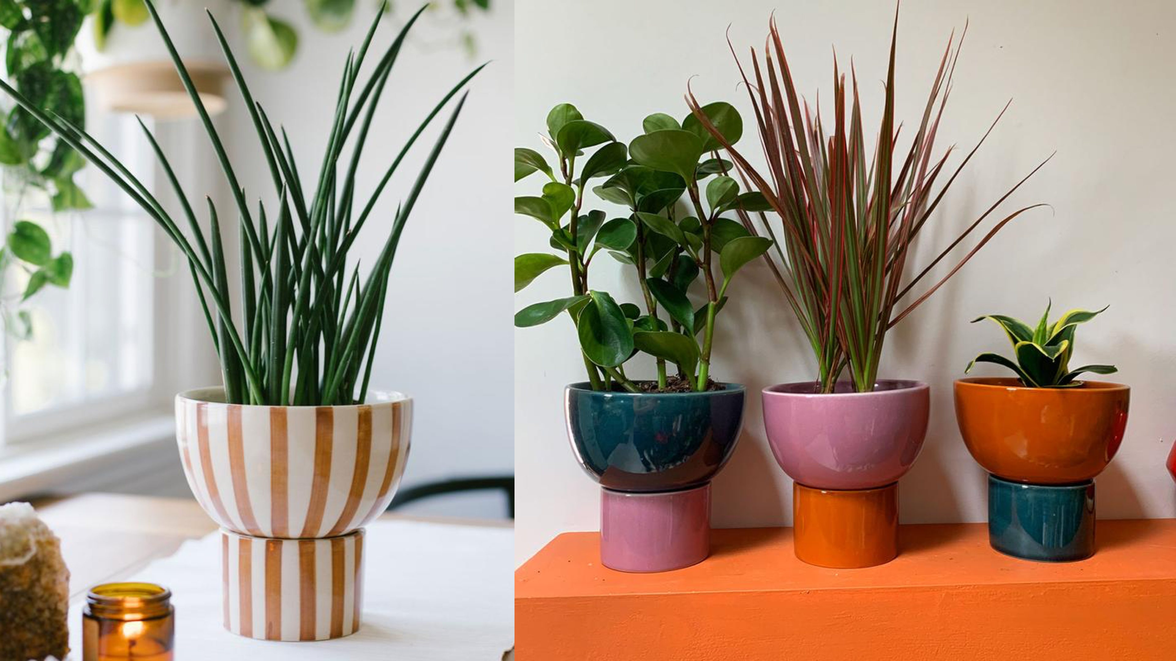 painted planter with drainage dish