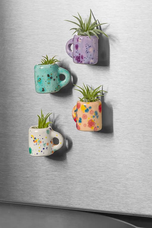 Mini Mug Air Plant Magnets - Set of 4