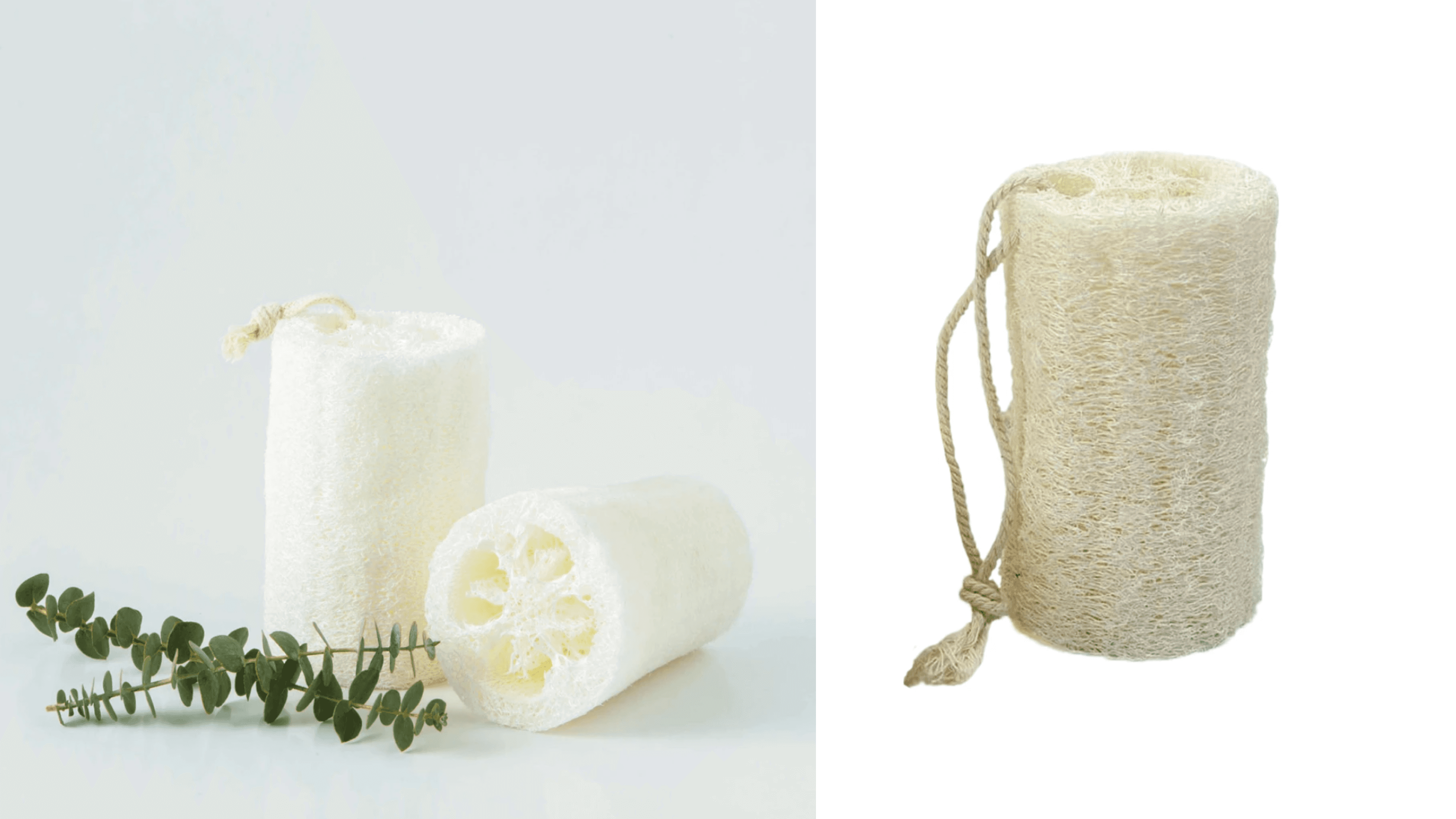 shower loofah