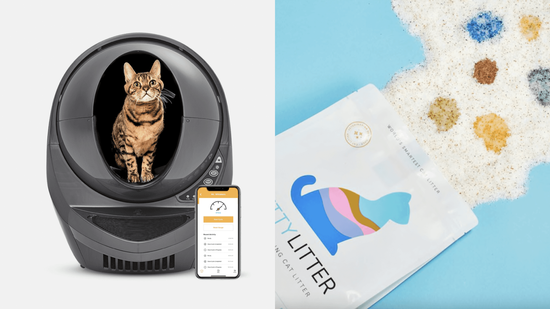 Cat little box