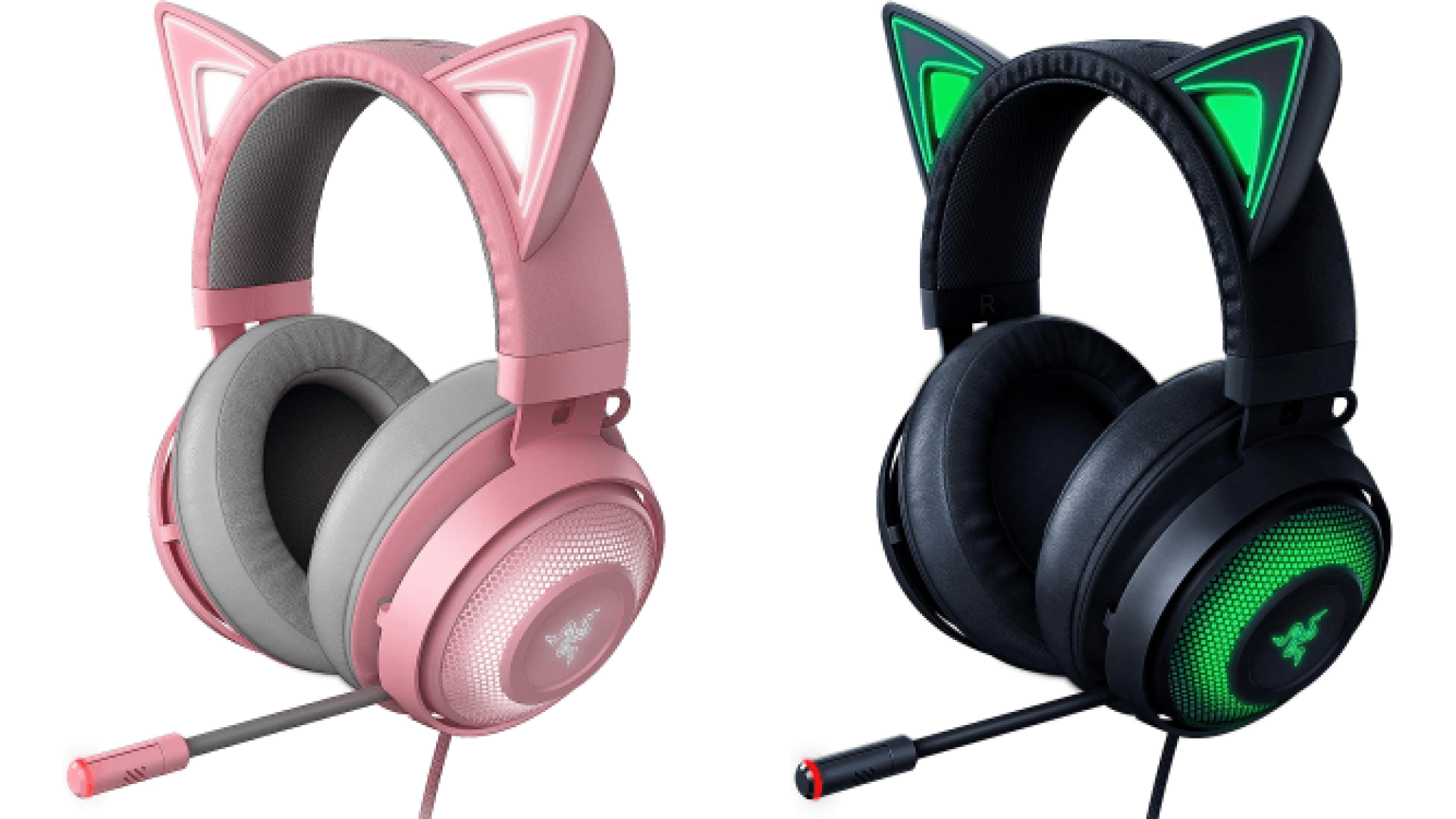 Cat headphones