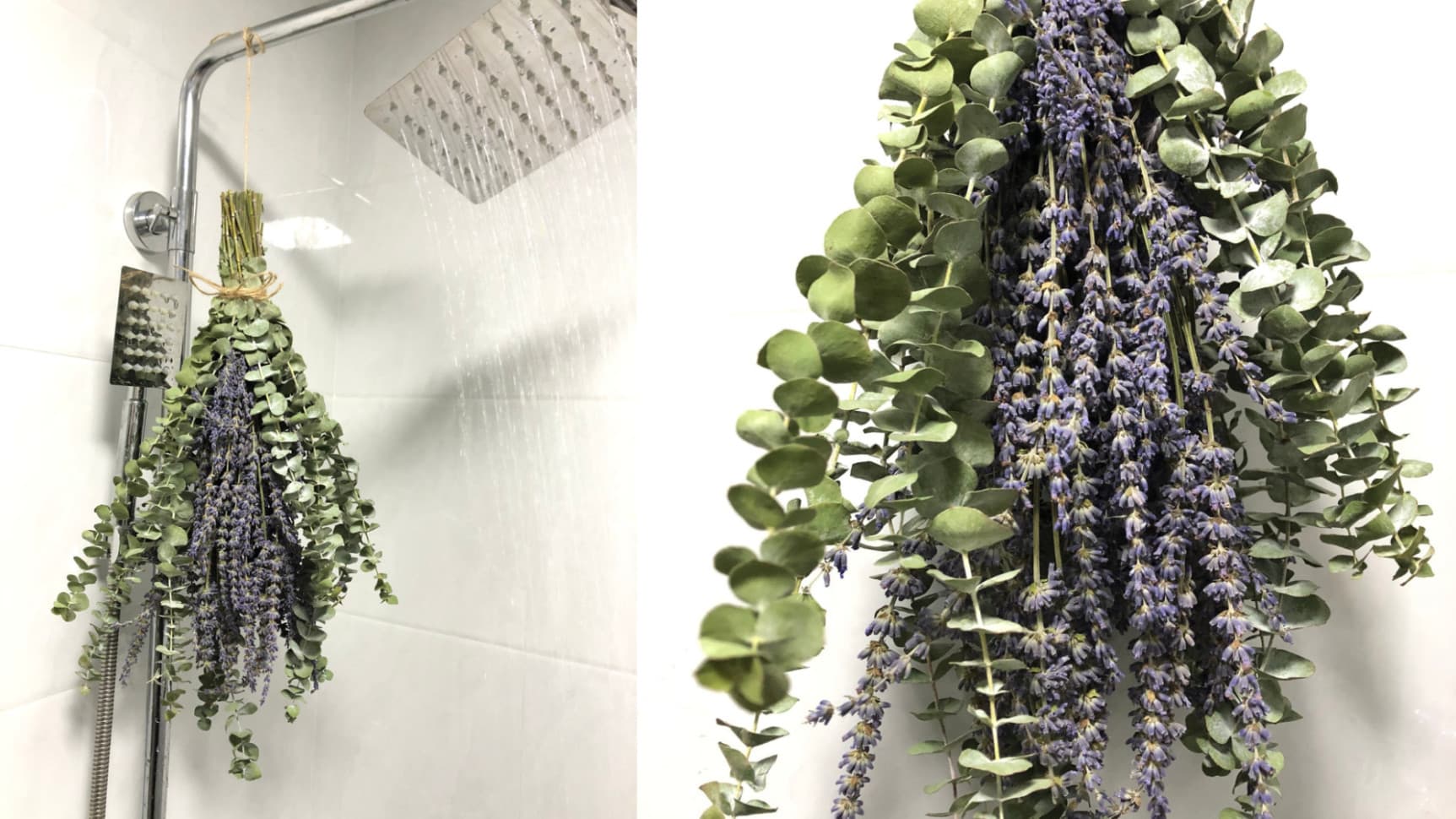 Lavender Eucalyptus bundle