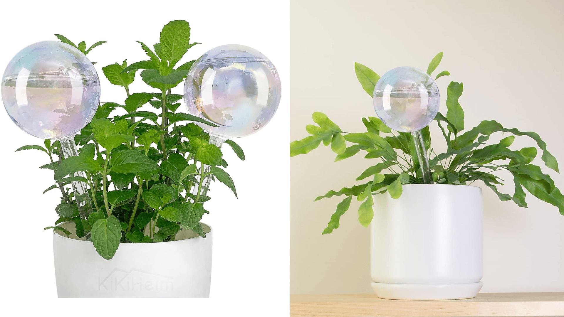 Watering globes