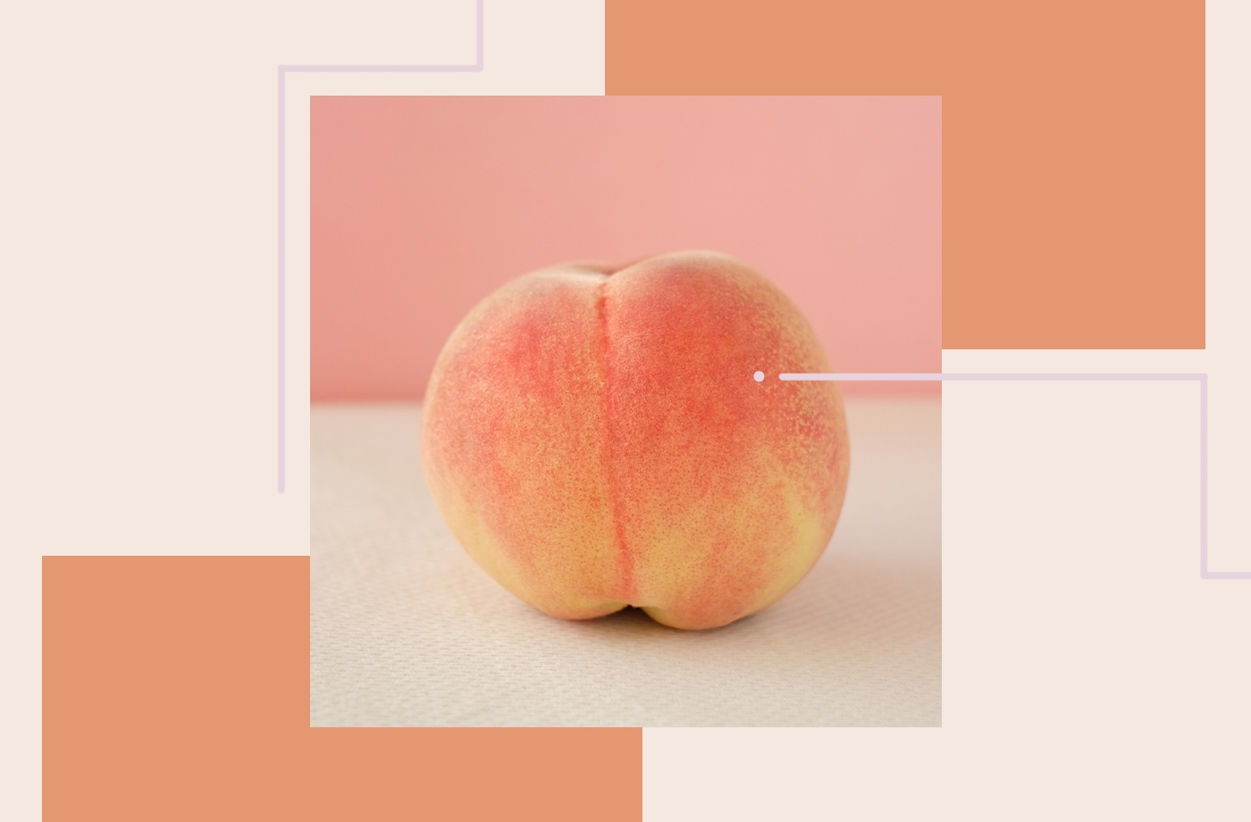 Featured image for Why an Anal Surgeon Is Begging You To Stop Using Wet Wipes