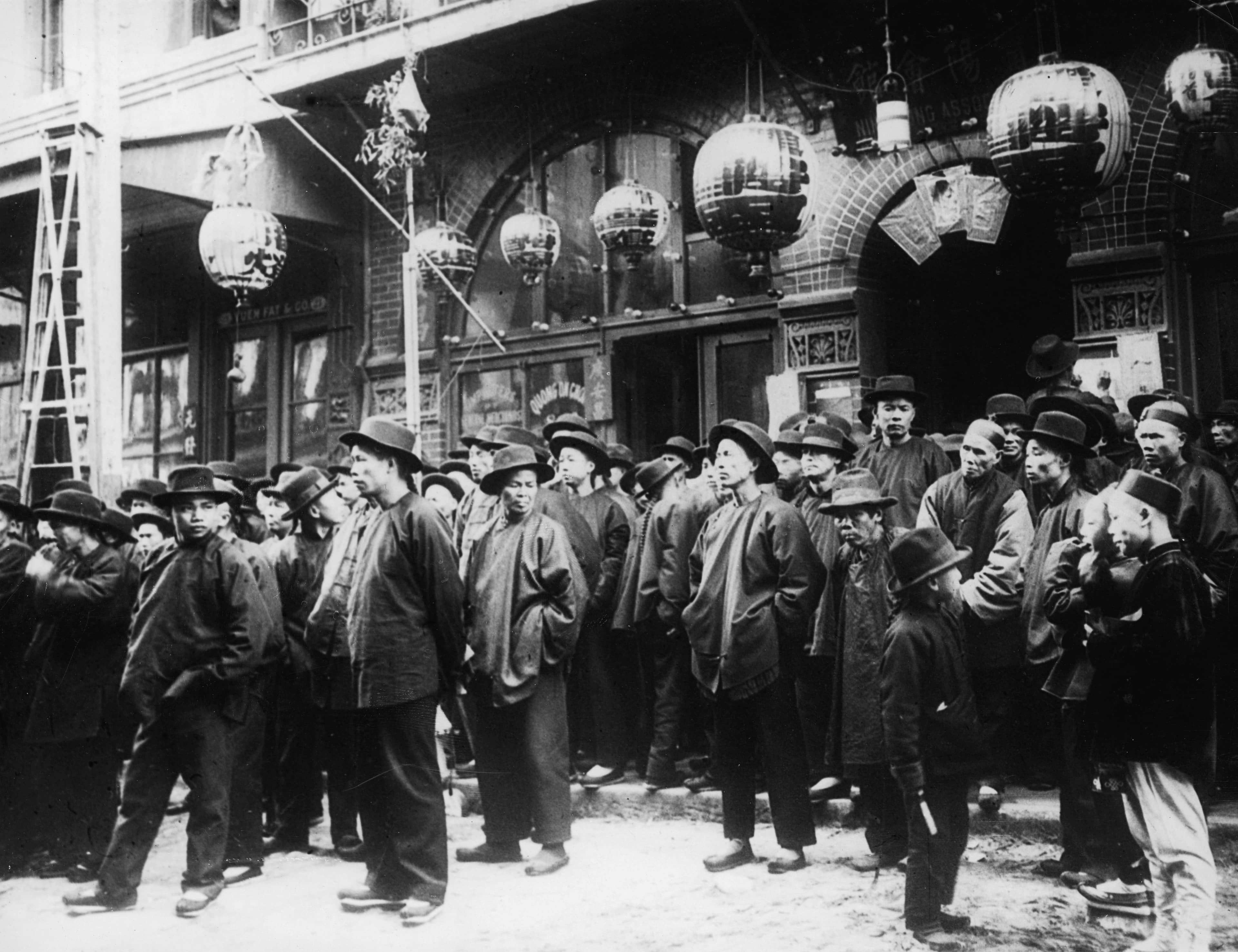San Francisco Plague 1900