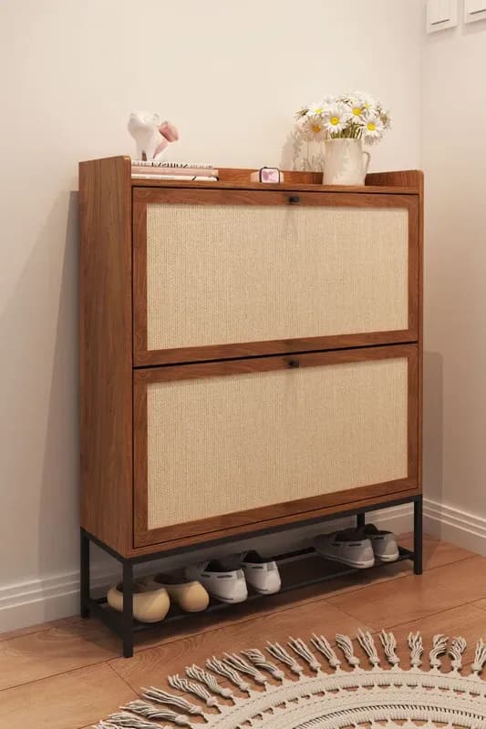 shoe-organizer